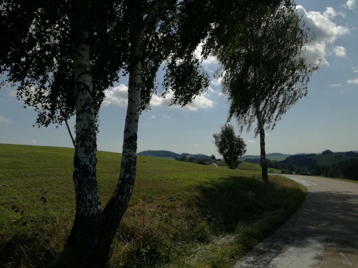 Jenny Villa Lembach im Mühlkreis Dış mekan fotoğraf